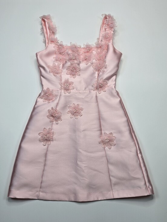 Elliatt Dresses & Skirts - Elliatt x Revolve Elder Dress Blush Pink Satin 3D Floral Mini Dress Womens S